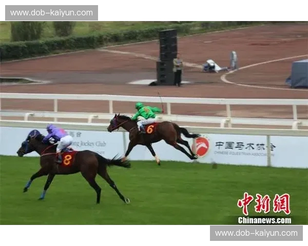 洞察赛场：马术数据如何改变赛马与训练的未来